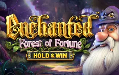 Enchanted Forest of Fortune Hold Win — Betsoft
